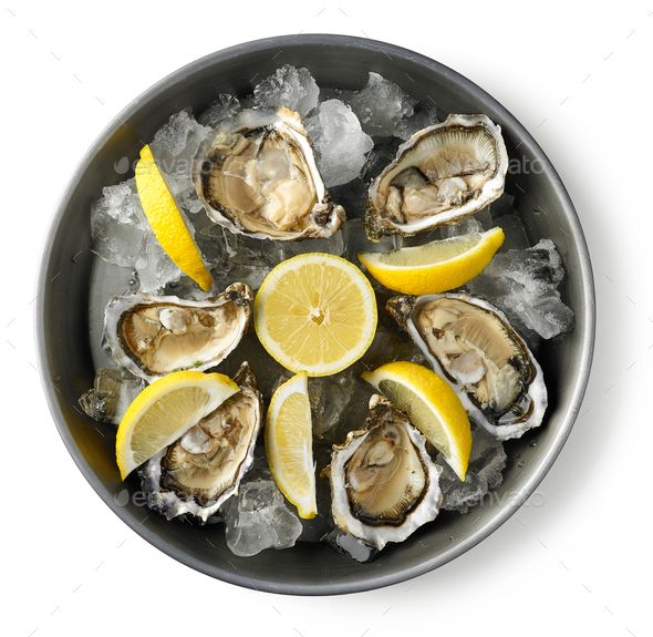 Oysters